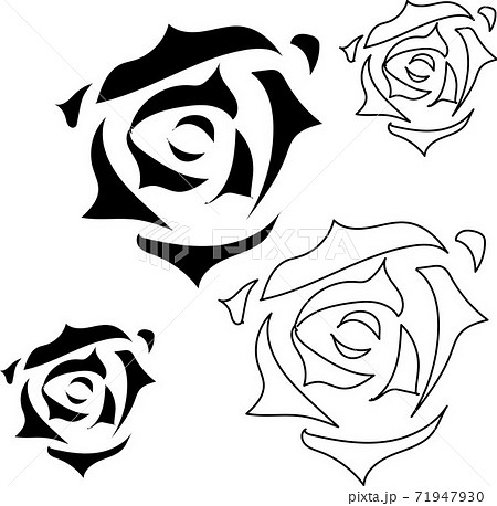 シンプルな黒と白の薔薇のセットのイラスト素材