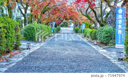 滋賀県  西教寺  秋の風景 71947974