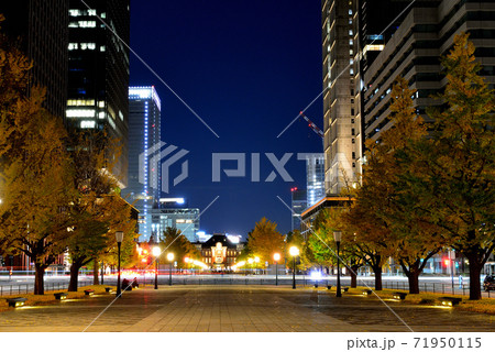 東京経済の中心 東京駅 丸の内行幸通りの銀杏並木の写真素材 71950115 Pixta