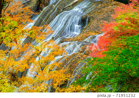 紅葉と袋田の滝 上流 紅葉と袋田の滝 上流 71951232
