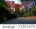 熊本県阿蘇市の紅葉 71951474