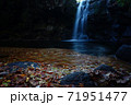 熊本県阿蘇市の紅葉 71951477