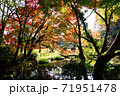 熊本県阿蘇市の紅葉 71951478