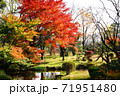 熊本県阿蘇市の紅葉 71951480