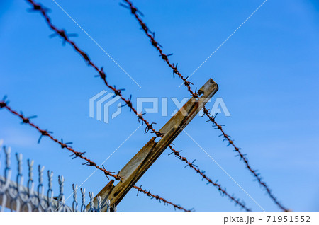 Focus on rusted barbed wires against blue sky. Focus on rusted barbed wires against blue sky. 71951552