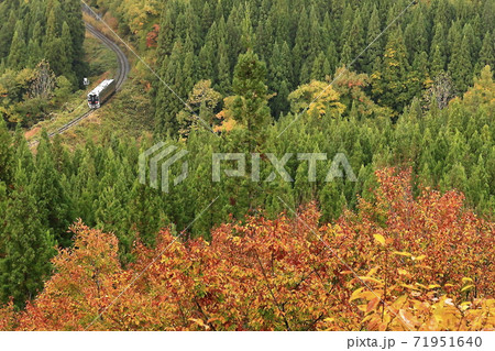 紅葉の米坂線 紅葉の米坂線 71951640