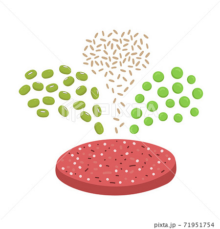 Ingredients of plant based meat. Mung beans, brown rice and pea pouring in meatless burger patty. Organic vegan food concept. Vector flat illustration Ingredients of plant based meat. Mung beans, brown rice and pea pouring in meatless burger patty. Organic vegan food concept. Vector flat illustration 71951754