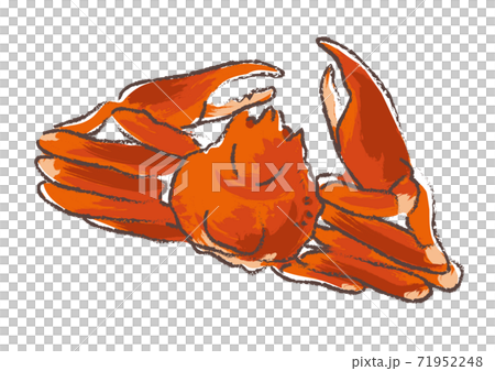 筆で描いたようなズワイガニのイラスト 71952248