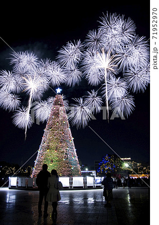 愛知県名古屋市 名古屋港の花火とクリスマスツリーの写真素材