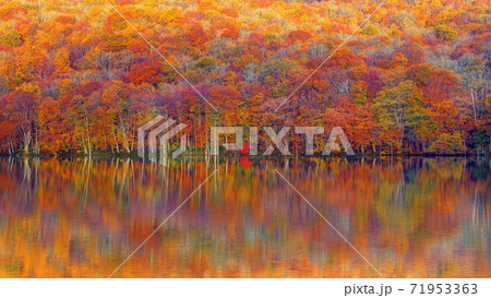 錦秋の蔦沼の写真素材 [71953363] - PIXTA