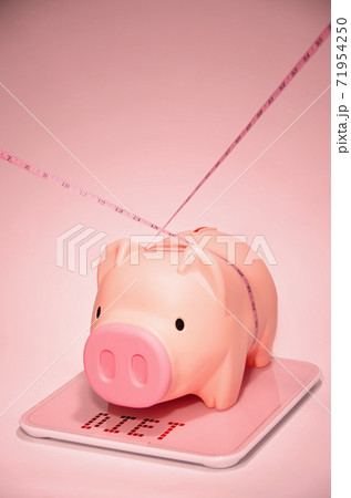 貯金箱 巻尺 豚 71954250