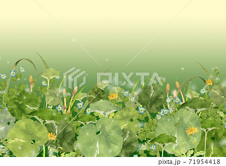 春の野原の水彩画 71954418