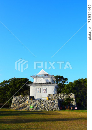 田丸城【続日本100名城】三重県 71954449