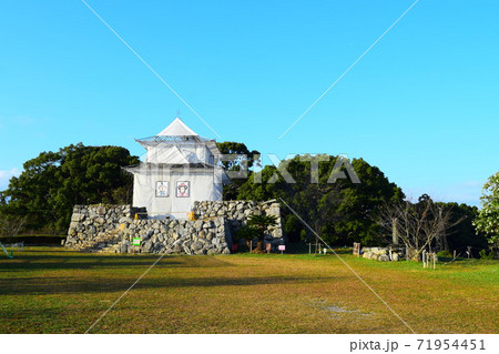 田丸城【続日本100名城】三重県 71954451