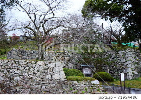 田丸城【続日本100名城】三重県 71954486