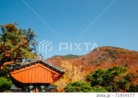 Beomeosa temple with autumn mountain in Busan, Korea 71954577