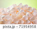 大量な鶏の卵の殻 71954958