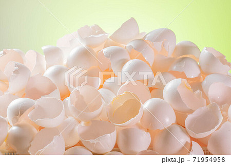 大量な鶏の卵の殻 大量な鶏の卵の殻 71954958