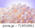 大量な鶏の卵の殻 71954961