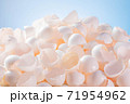 大量な鶏の卵の殻 71954962
