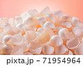 大量な鶏の卵の殻 71954964
