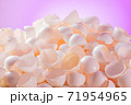 大量な鶏の卵の殻 71954965