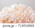 大量な鶏の卵の殻 71954969