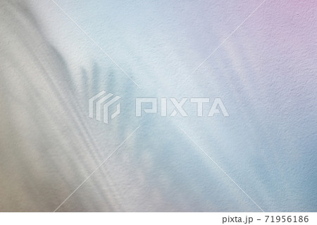 colorful color shadow palm leaves on wall concrete background.Silhouette abstract tropical leaf natural pattern for summer design .Soft image backdrop. 71956186