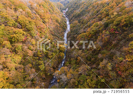 北海道 新登別大橋から見た紅葉 71956555