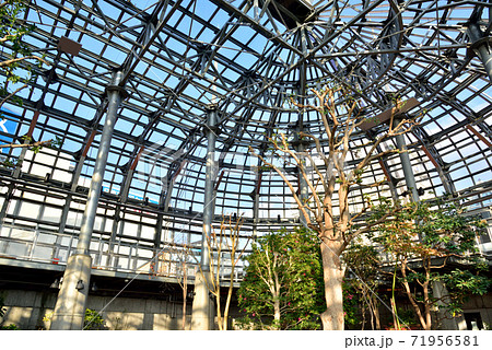 フィッシャーマンズワーフ植物園　幣舞橋　北海道釧路市　 71956581