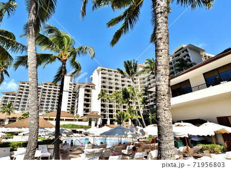 ハワイの休日 71956803