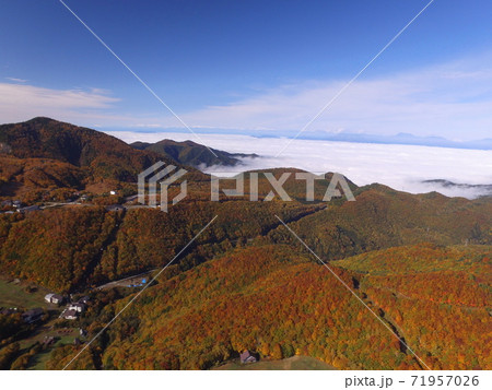 志賀高原　発哺温泉の紅葉と雲海　空撮 71957026