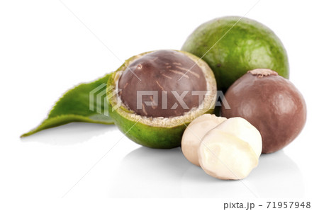 Macadamia nut on white background Macadamia nut on white background 71957948