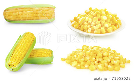 Corn isolated on white background Corn isolated on white background 71958025