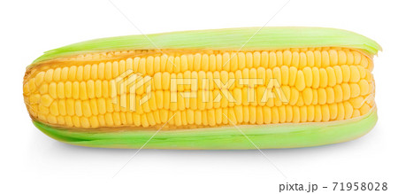 Corn isolated on a white background Corn isolated on a white background 71958028
