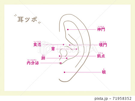 Ear points for beauty_1 71958352