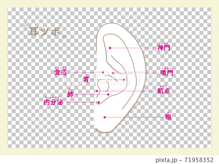 Ear points for beauty_1 71958352