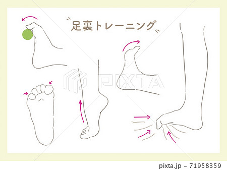 Acupoints on the soles of the feet_2 Acupoints on the soles of the feet_2 71958359