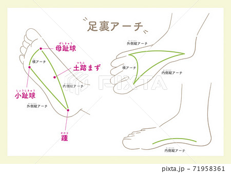 Acupoints on the soles of the feet_1 Acupoints on the soles of the feet_1 71958361