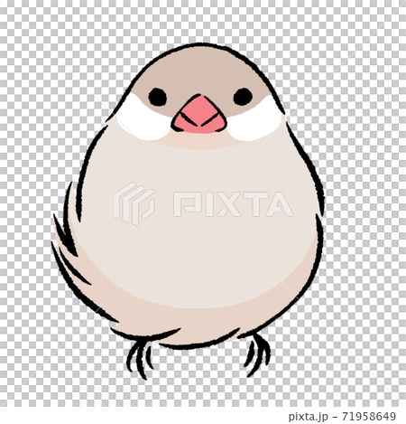 にっこり文鳥　クリーム　シナモン 71958649