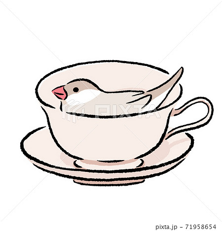 ティーカップが気にいった文鳥　シナモン　クリーム 71958654