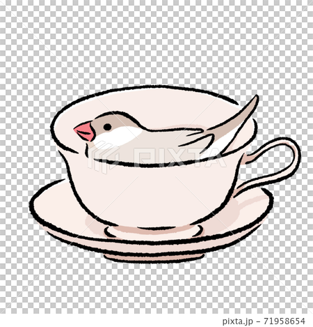 ティーカップが気にいった文鳥　シナモン　クリーム 71958654