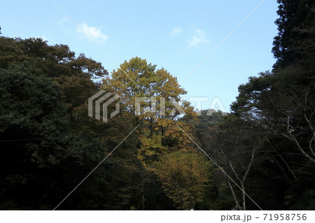 熊本県　菊池　菊池渓谷、 71958756
