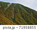紅葉の千畳敷カール 71958855