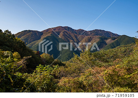 秋の安蔵寺山 71959105