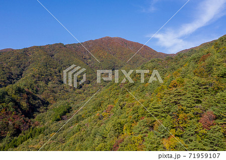 秋の安蔵寺山 秋の安蔵寺山 71959107