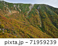 紅葉の千畳敷カール 71959239