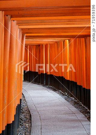 伏見稲荷大社の千本鳥居  71959396
