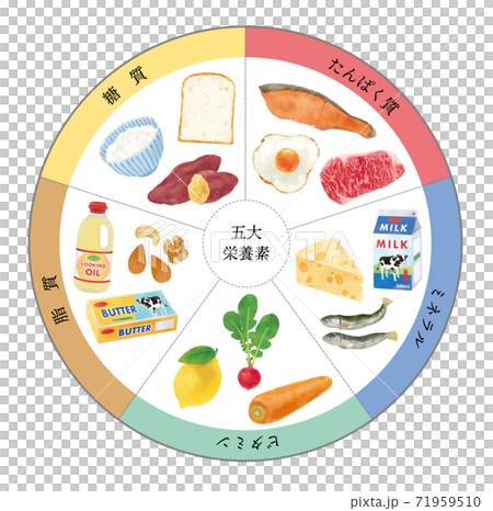 五大栄養素のおしゃれなベクターイラスト 人物なし 五大栄養素のおしゃれなベクターイラスト 人物なし 71959510