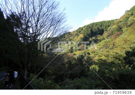 熊本県　菊池　菊池渓谷、 71959639